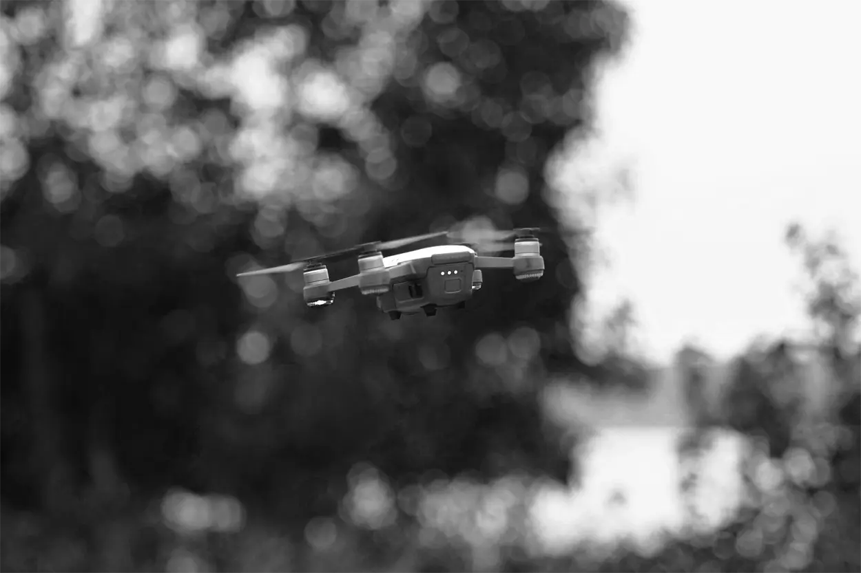 Drone flying over a Miscanthus field