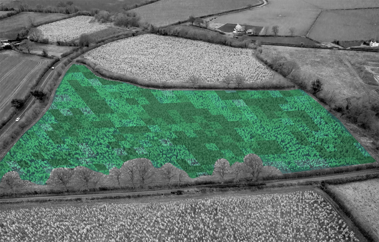 Background image of Miscanthus field with heatmap