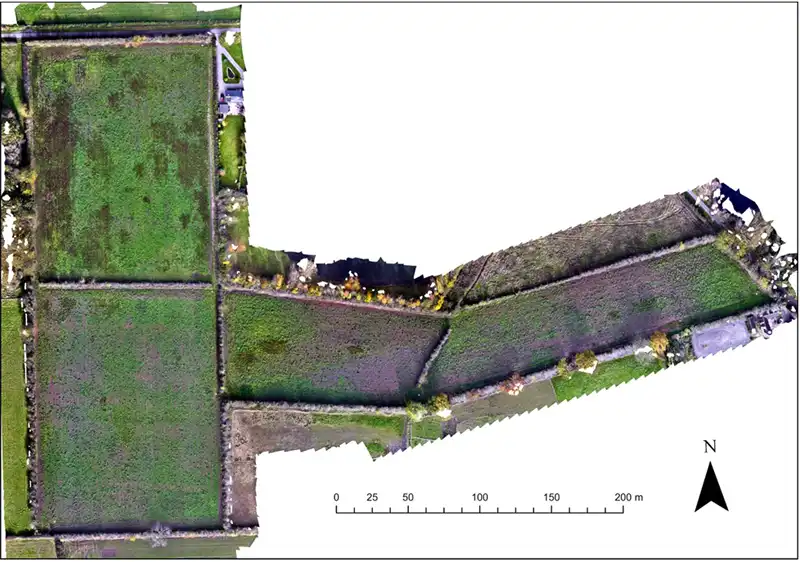 gono.ai - step 4+5b - Orthorectified RGB Image Before clipping to planting area