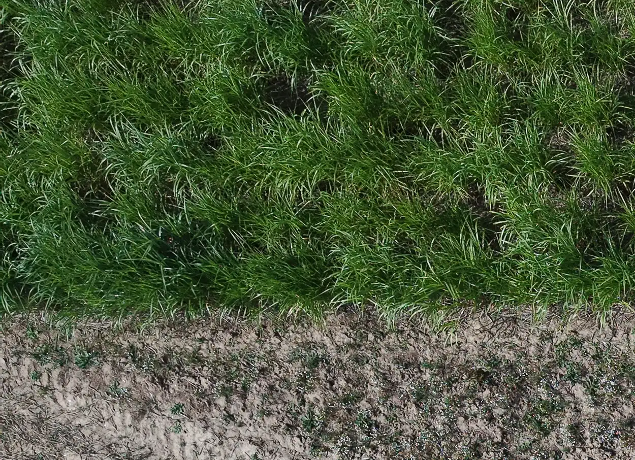 Drone image quality example